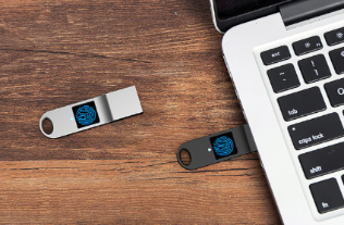 Biometric Flash Drive